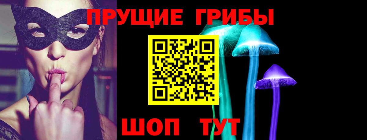 Галлюциногенные грибы Psilocybe  Вход с VPN  Мыски 